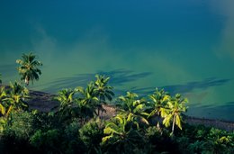 Archipel-des-Comores;-Ciel;-Cocotiers;-France;-Galets-noirs;-Kaleidos;-Kaleidos-images;-La-parole-à-limage;-Laurent-Abad;-Mayotte;-Mer;-Océan-Indien;-Paysage-marin;-Plage;-Stories-Pictures
